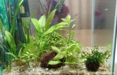 Фото Кубик для кухни 15 литров Ленчик  (photo#157687)