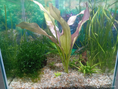 Фото Кубик для кухни 15 литров Ленчик  (photo#157689)