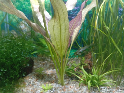 Фото Кубик для кухни 15 литров Ленчик  (photo#157692)