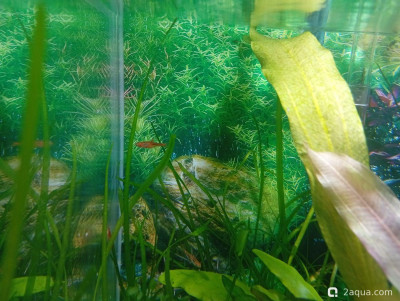 Фото Кубик для кухни 15 литров Ленчик  (photo#157693)