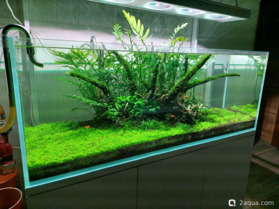 Фото Мой аквариум изменения дизайна (photo#157706)