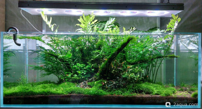 Фото Мой аквариум изменения дизайна (photo#157707)