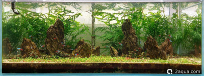 Фото Мой аквариум изменения дизайна (photo#157708)