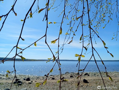 Фото Просто поговорить (photo#157746)