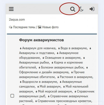 Фото Как пользоваться форумом ЧаВо  (photo#157881)