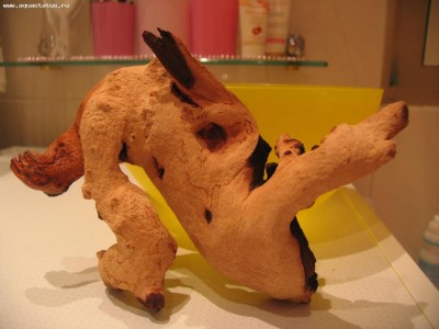 Коряга в аквариуме