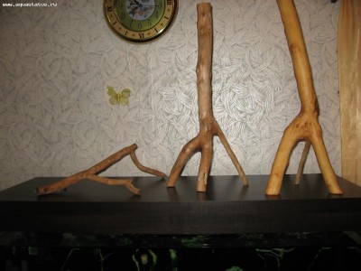 Коряга в аквариуме
