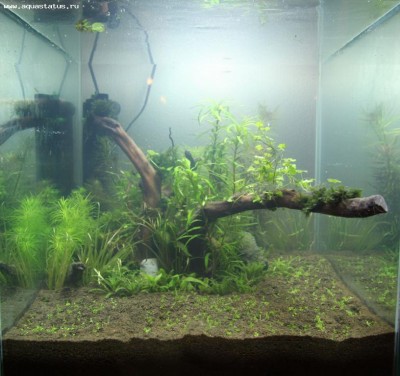 Фото Аквариум Nature Aqua 35 литров antyloop  (photo#19065)