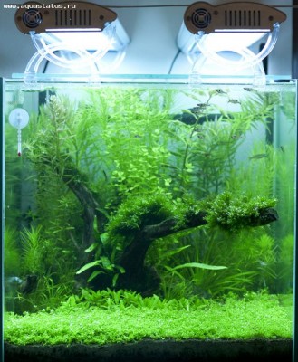 Фото Аквариум Nature Aqua 35 литров antyloop  (photo#19071)