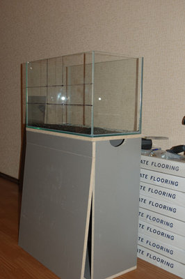 Создание аквариума на конкурс IAPLC 2009 объемом 60 литров (cdda)