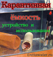 Ихтик у Боций клоунов