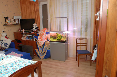 Создание аквариума на конкурс IAPLC 2009 объемом 60 литров (cdda)