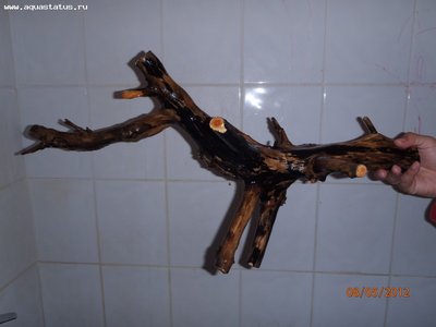 Коряга в аквариуме