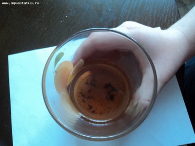 Мутная вода в аквариуме, муть в аквариуме