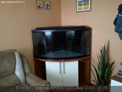 Фото Ищу помощи в дизайне укладки грунта (photo#23460)