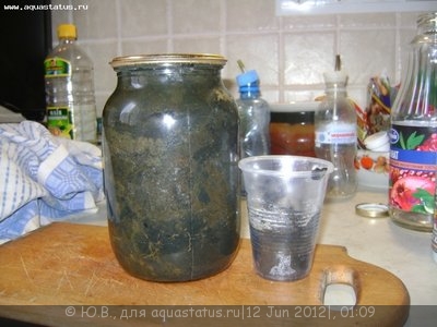 Фото Самодельная питательная подложка для аквариума (photo#23707)