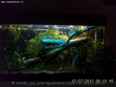 Фото Аквариум Мой фаворит 170 литров mister_xxi  (photo#24957)