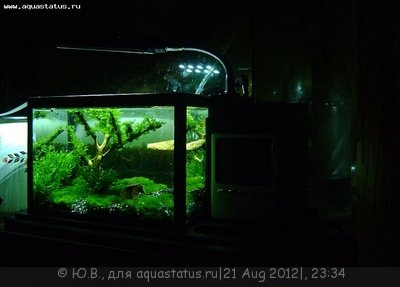Фото Конкурс Аквариум на рабочем столе вместо пепельницы от ХКА TetraДОН  (photo#25858)