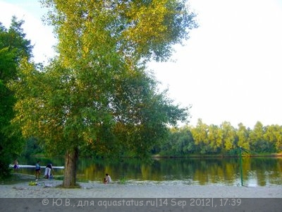 Фото Конкурс Аквариум на рабочем столе вместо пепельницы от ХКА TetraДОН  (photo#26722)