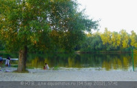 Фото Конкурс Аквариум на рабочем столе вместо пепельницы от ХКА TetraДОН  (photo#26724)