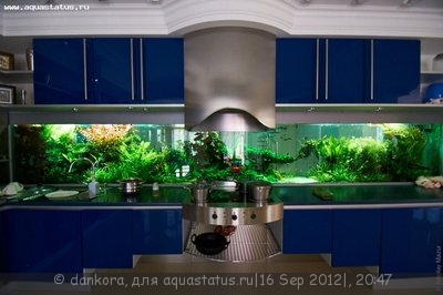Интересные аквариумы со всего мира