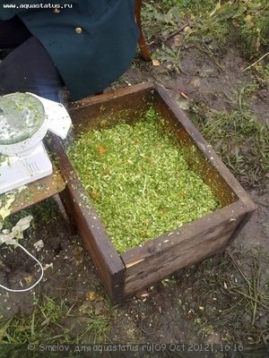 Фото наших участников