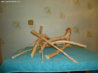 Мои аквариумы (елена Топоева)