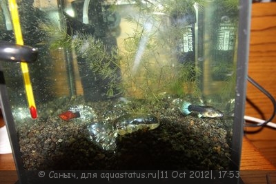 Нужна консультация