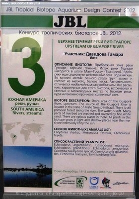 Фото Финал конкурса тропических биотопов Зоосфера 2012  (photo#28106)