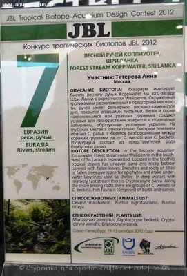 Фото Финал конкурса тропических биотопов Зоосфера 2012  (photo#28124)