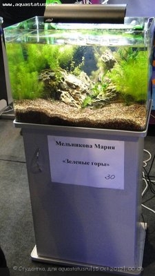 Фото Финал конкурса тропических биотопов Зоосфера 2012  (photo#28181)