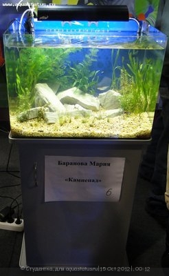 Фото Финал конкурса тропических биотопов Зоосфера 2012  (photo#28184)
