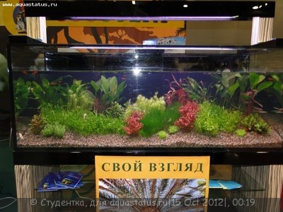 Фото Финал конкурса тропических биотопов Зоосфера 2012  (photo#28199)