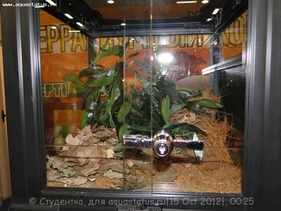 Фото Финал конкурса тропических биотопов Зоосфера 2012  (photo#28209)
