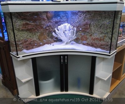 Фото Финал конкурса тропических биотопов Зоосфера 2012  (photo#28247)