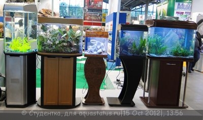Фото Финал конкурса тропических биотопов Зоосфера 2012  (photo#28255)