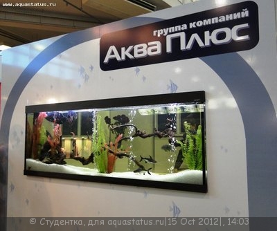 Фото Финал конкурса тропических биотопов Зоосфера 2012  (photo#28271)