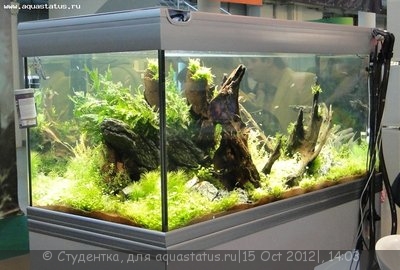 Фото Финал конкурса тропических биотопов Зоосфера 2012  (photo#28272)
