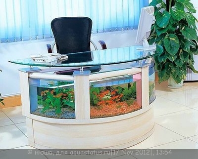 Интересные аквариумы со всего мира