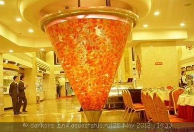 Интересные аквариумы со всего мира