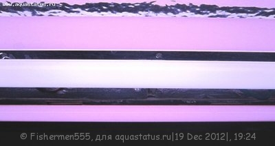 Аквариум любителя 100 литров (Fishermen555)