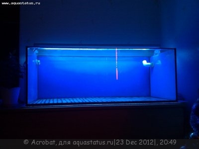Фото Мои скейпы Acrobat  (photo#31805)