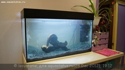 Фото Аквариум 100 литров Locustame  (photo#32021)