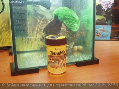 Фото Аквариум на 10 литров Зайчик-аквариумист  (photo#32029)