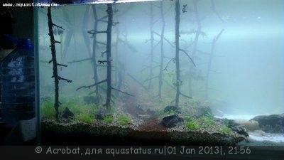 Фото  Там, где течет река , 320 л (photo#32229)