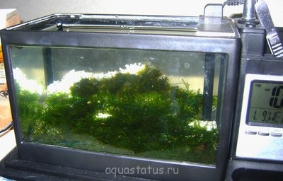 Фото Реконструкция горного пейзажа 1,5 литра Ю.В.  (photo#32655)