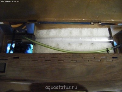 Фото Наш первый аквариум 35 литров 4uda4ka  (photo#33295)