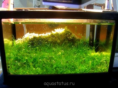 Фото Реконструкция горного пейзажа 1,5 литра Ю.В.  (photo#33670)