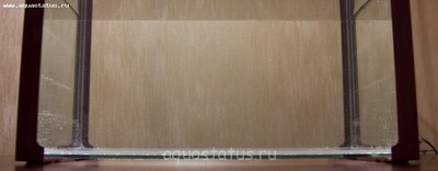 Фото Мой второй аквариум на 27 литров Leonchic  (photo#33919)