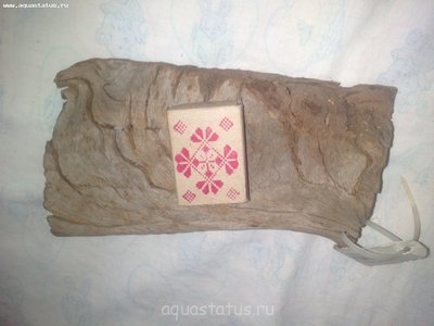 Готовлюсь к запуску аквариума, как лучше избежать ошибок?